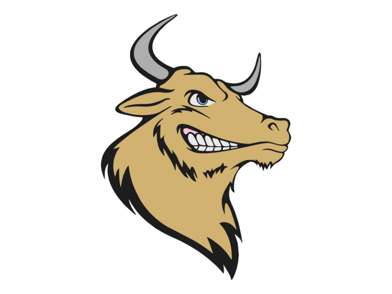Bondorf Bulls