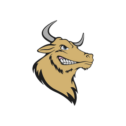 Bondorf Bulls