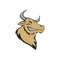 Bondorf Bulls