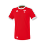 Erima Trikot Retro Star   rot/weiß (inkl. Bedruckung) - TSG Tübingen