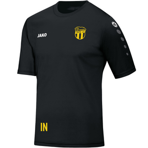 JAKO Trikot Team (inkl. Bedruckung) - TSV Dettingen